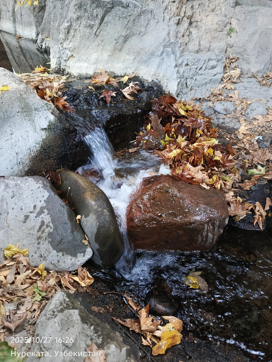 Из Ташкента - в горы Западного Тянь-Шаня (Елена)