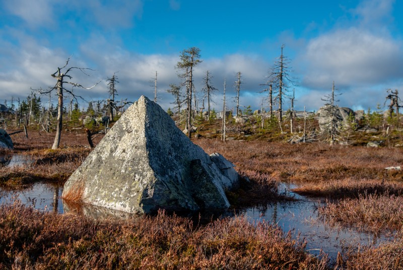 Из Петербурга к месту силы саамов - мистической Воттовааре