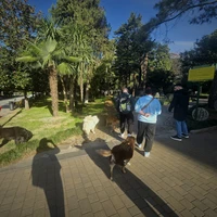 Фото отзыва 3: экскурсия "Батуми глазами местных жителей"