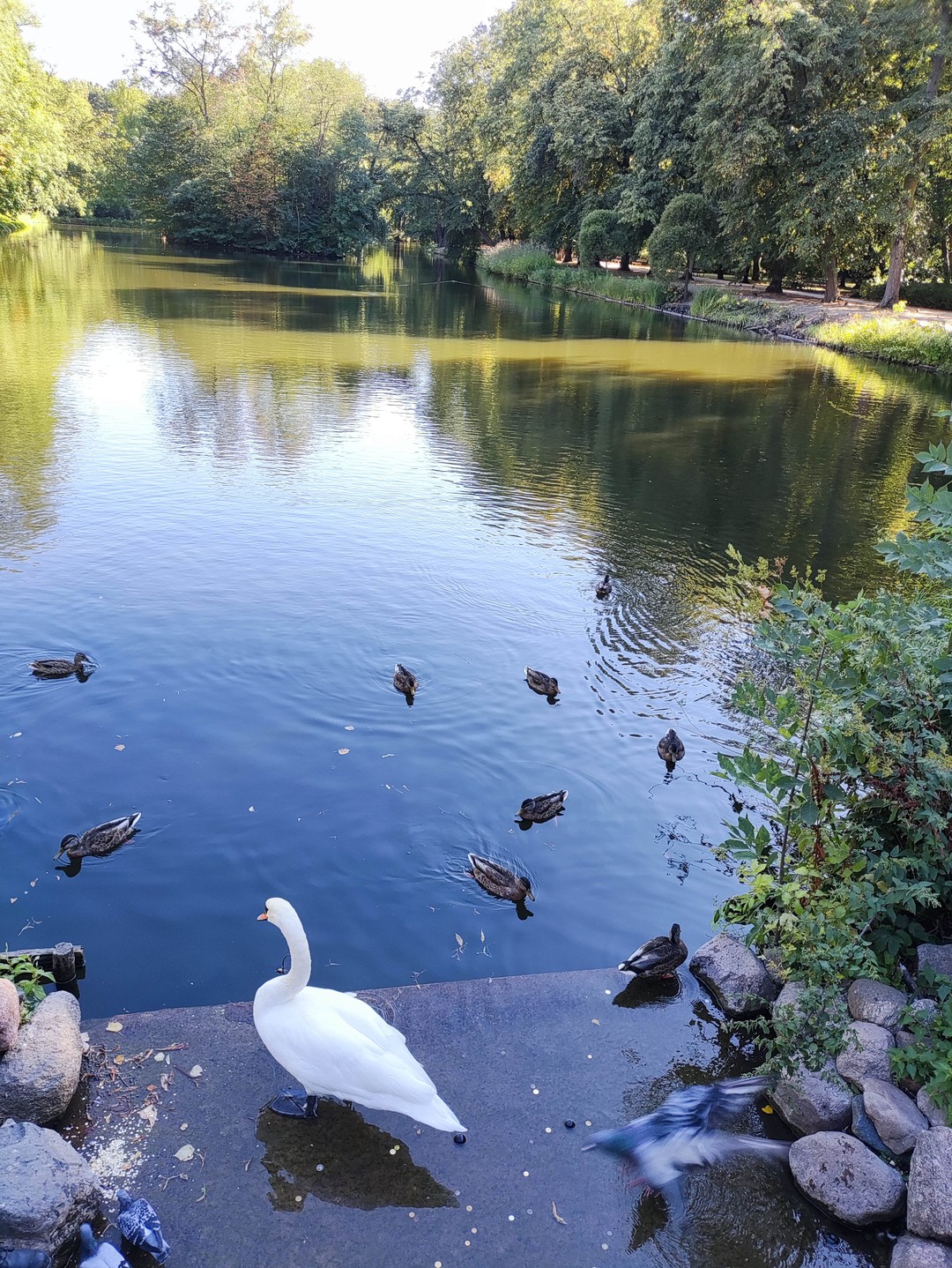 После замечательной и ознакомительной прогулки по- старому городу Варшавы,мы отправились с Яной в путешествие по дворцовой