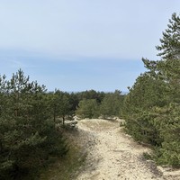 Фото отзыва 6: экскурсия "Куршская коса — природная сказка Балтики + курортный Зеленоградск"