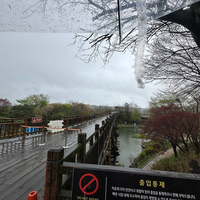 Фото отзыва 7: экскурсия "Побывать на границе: поездка в DMZ"
