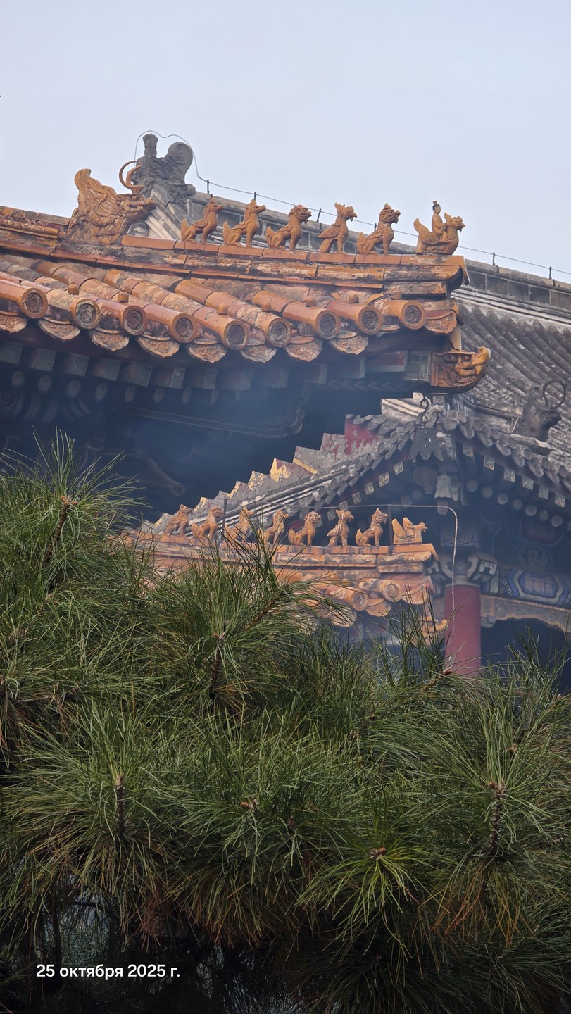 Спасибо большое нашему чудесному гиду! Экскурсия превзошла все ожидания! Хороший русский язык, знания и теплое сердечное