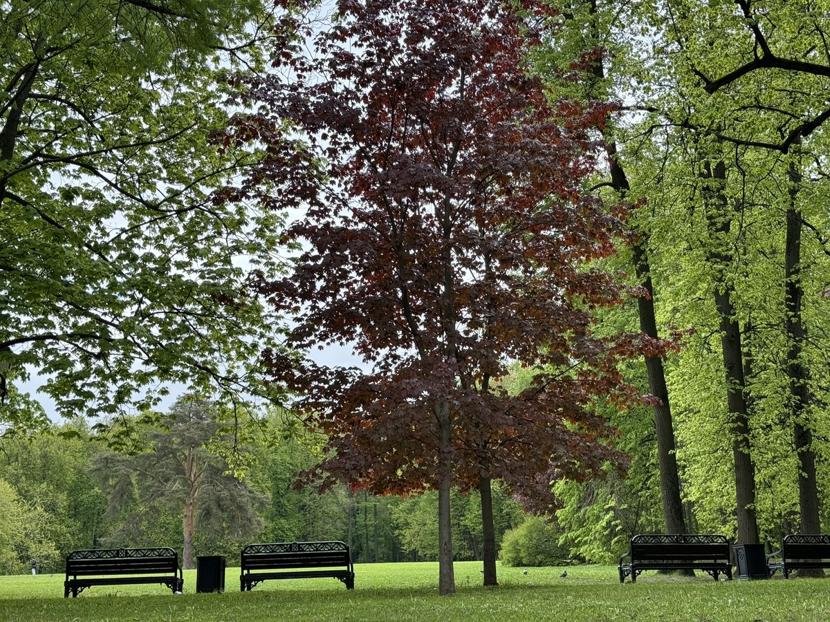 По Царицынскому пейзажному парку — с экспертом МГУ (7/8)