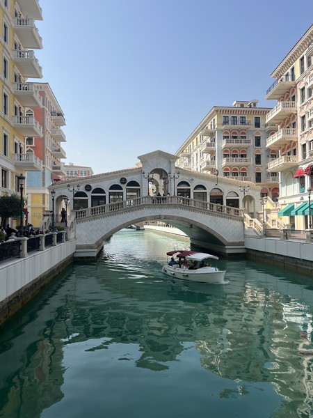 Спасибо за прекрасно организованную экскурсию гиду Наталье!!! Доха влюбила в себя!!! Маршрут отлично показал город (да