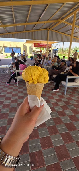 Конечно, обязательно нужно съездить на сафари! Такие красные пески, ветер, красное платье, скорость, адреналин! Мы поехали