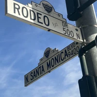 Фото отзыва 2: экскурсия "Лос-Анджелес за 1 день: Беверли-Хиллз, Голливуд и океан"