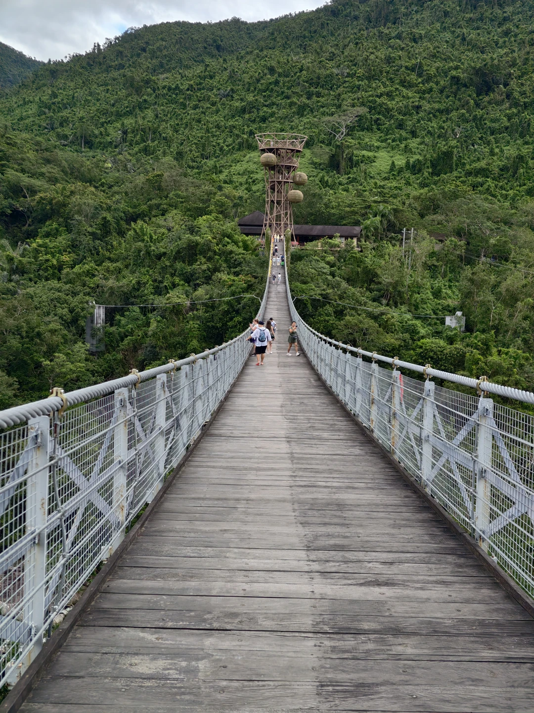 Тропические джунгли Янода - путешествие из Саньи (Дмитрий)