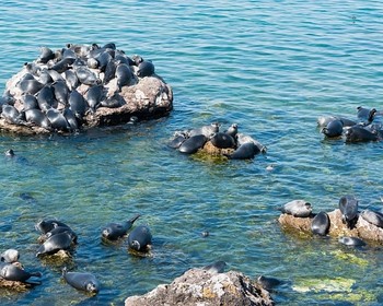 Малое Море: Ушканьи острова