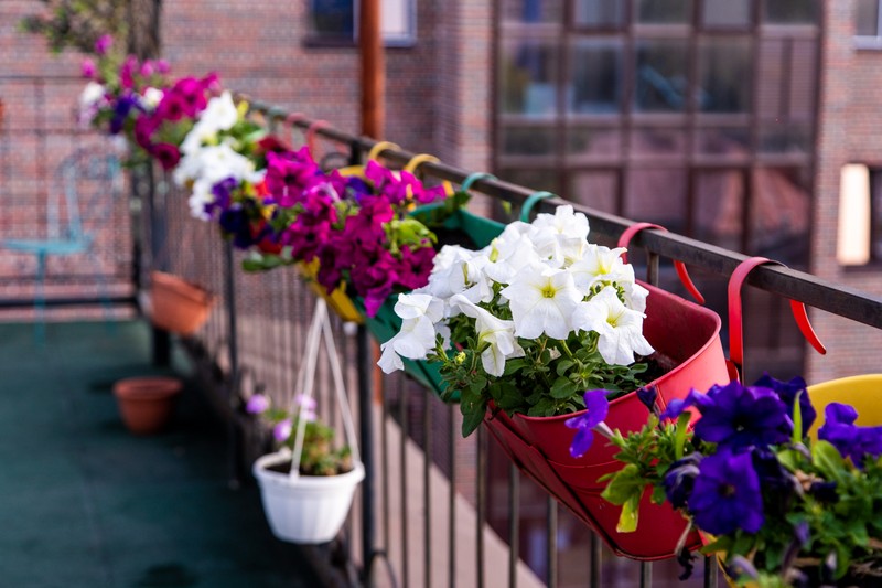 Романтическое свидание на крыше