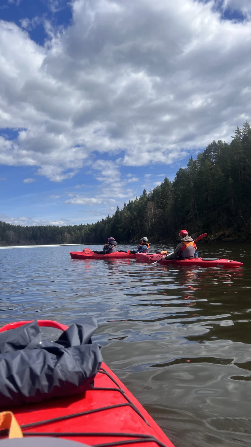 Рекомендую всем, кто хочет провести незабываемый день наедине с природой Карелии, увидеть близко берега Ладожских заливов,