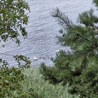 Фото отзыва 1: экскурсия "Автобусная экскурсия на Талабские острова"