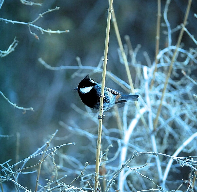 Самая высокая оценка!