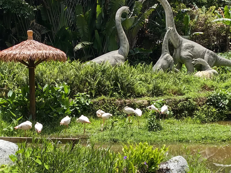 Тропический парк Янода: приключение в сердце джунглей