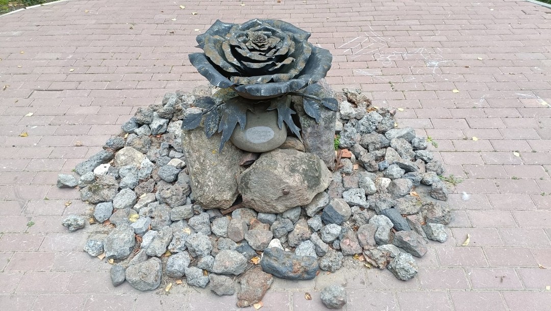 Замечательный город и замечательная экскурсия с замечательным Александром! И по городу проехали, и в красивых парках