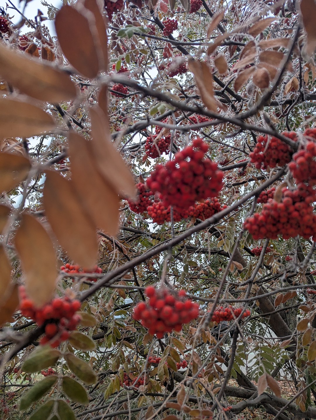 Долго думали брать ли экскурсию или прогуляться самостоятельно, решили заглянуть на Трипстер и посмотреть, что предлагают