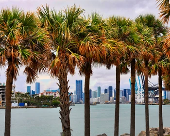 Майами-Бич: день отдыха у океана