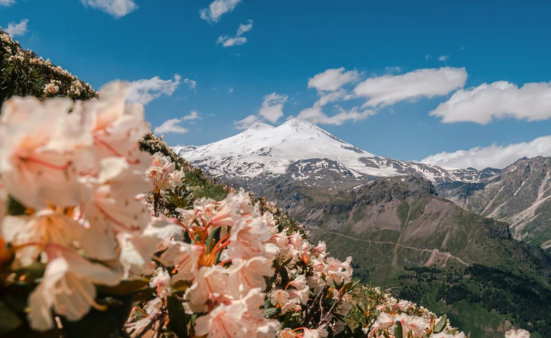 Жемчужины Кавказа: на поезде в 5 республик с национальными блюдами и этношоу