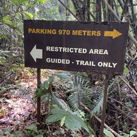 Фото отзыва 2: экскурсия "Джунгли зовут: экскурсия из Пхукета"