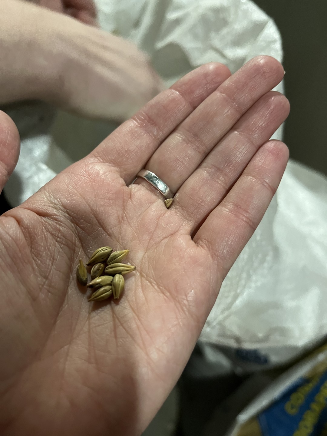 Прекрасная экскурсия, очень располагающий к себе экскурсовод, классный материал. Очень интересно и вкусно😂