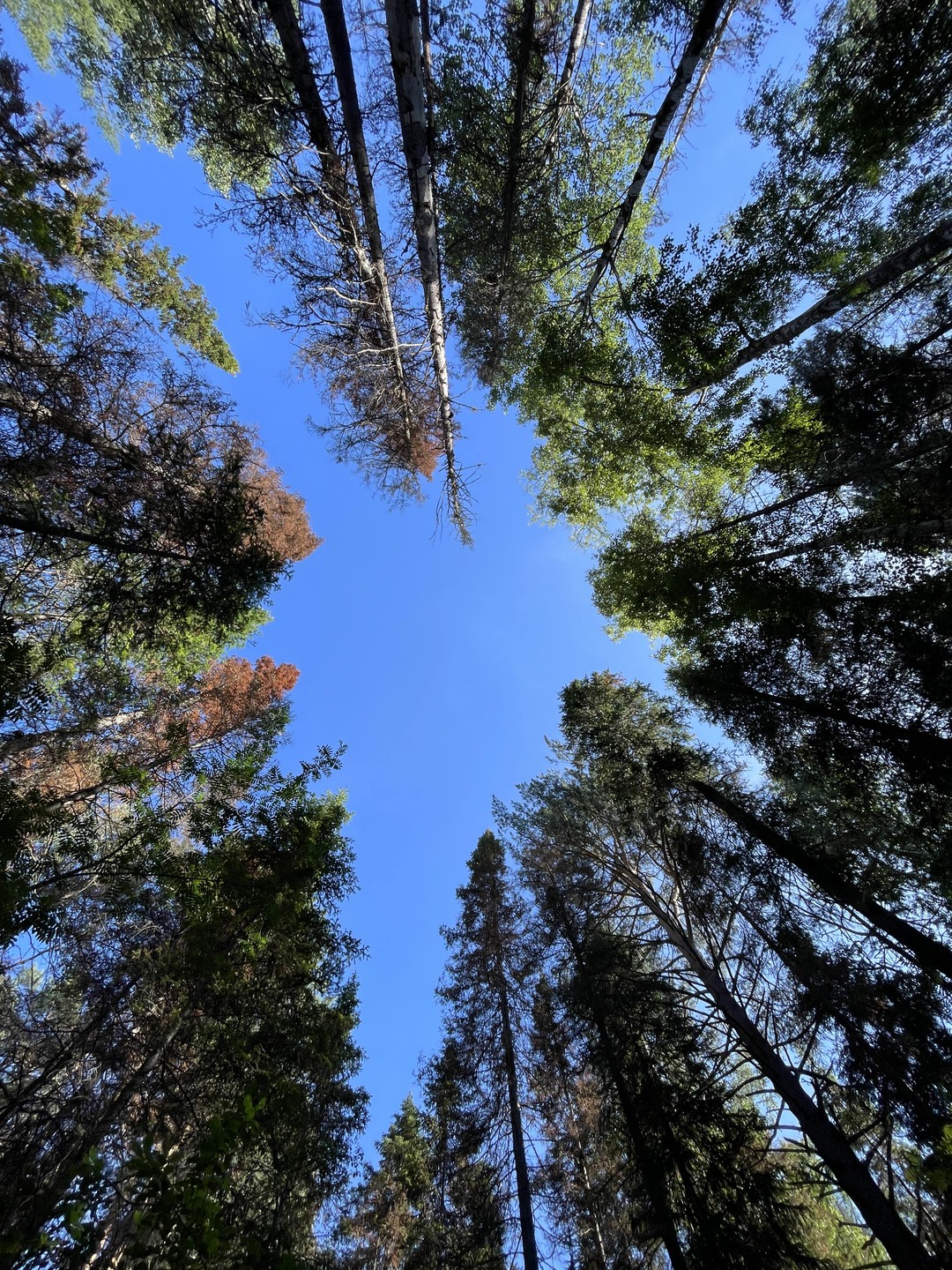 Екатеринбург и династия Романовых (Александра)