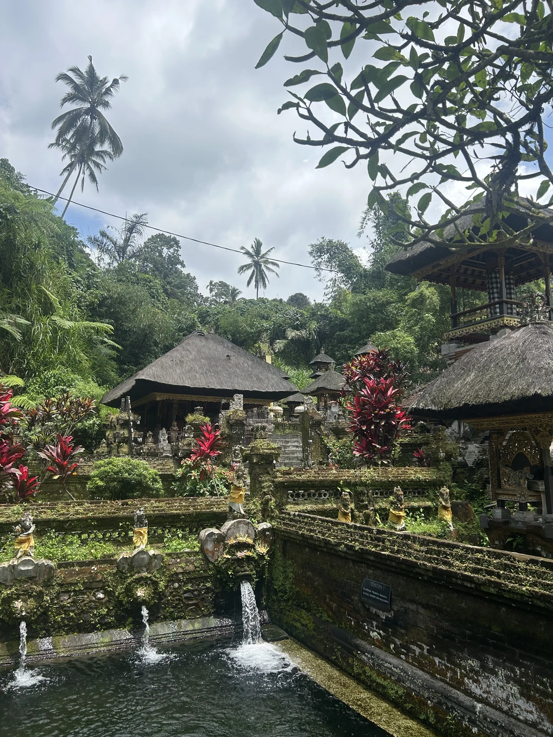 Бали, который вы ждёте (Надежда)