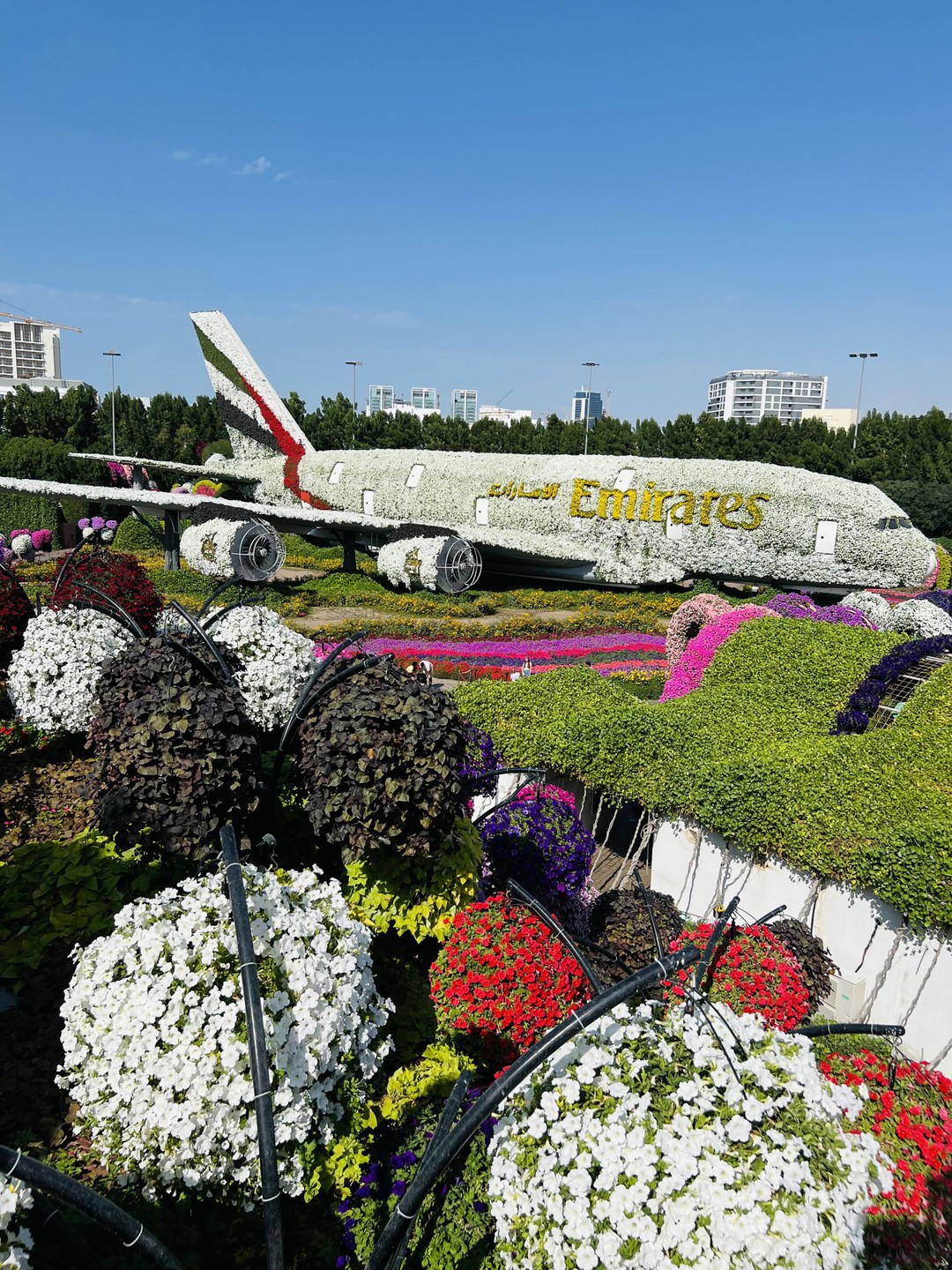 Тот самый Дубай (Gyulnara)