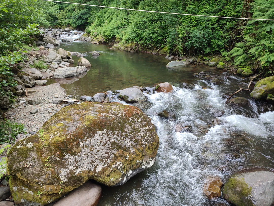 Благодаря Федору мы с дочерью провели замечательный день в Грузии. Каждое место, которое мы посетили, особенное