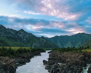 Любуемся маральником, пробуем мёд