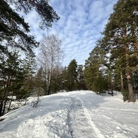 Фото отзыва 2: экскурсия "Ваш идеальный день в Карелии"