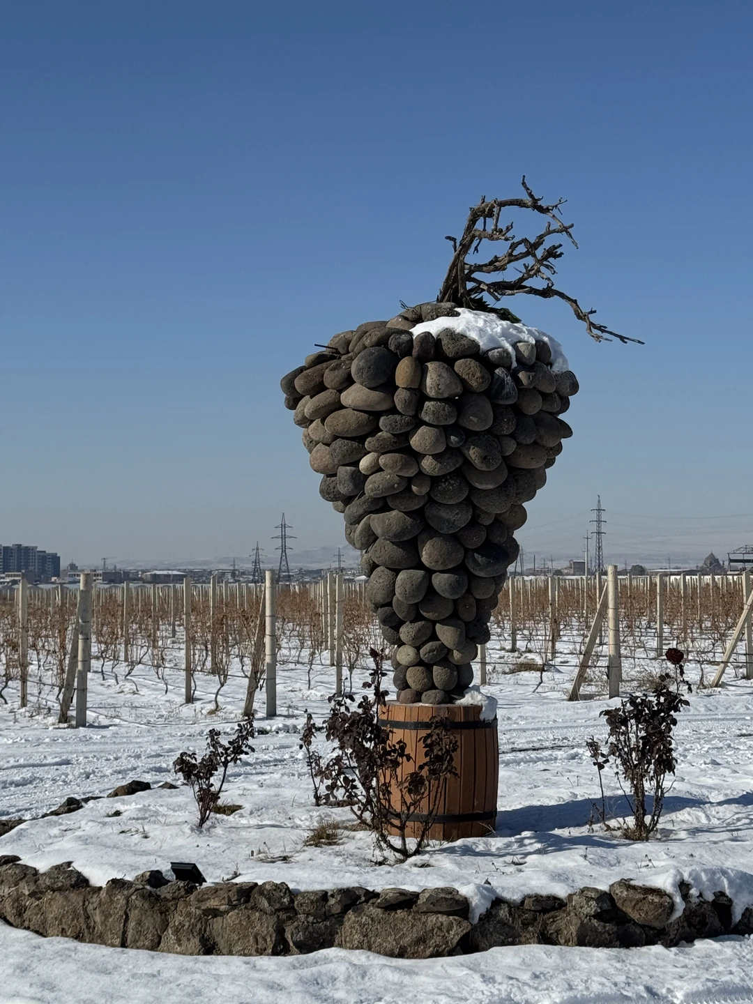 Вкусная и легкая экскурсия!