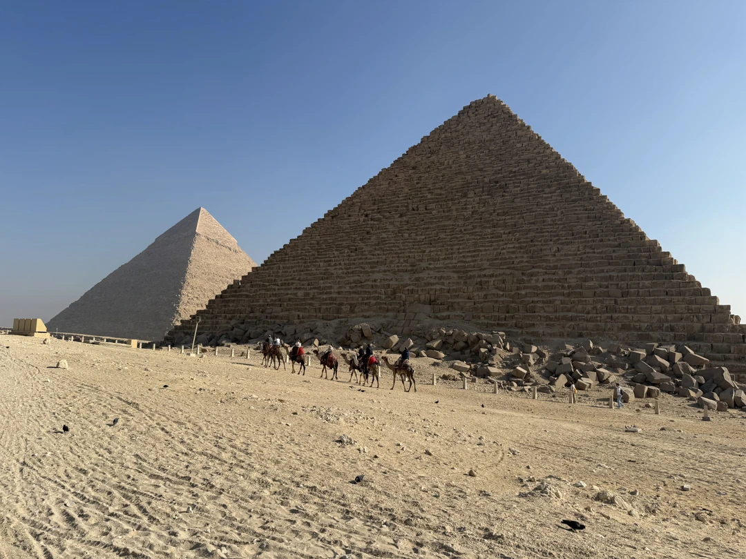 Очень рады, что выбрали Муххамеда, прекрасная организация и подача материала. У нас была большая компания 10