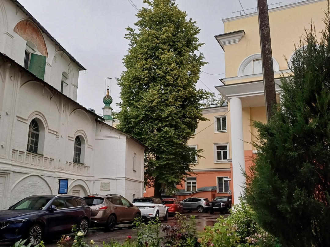 Спасибо огромное Ольге за такую отличную экскурсию. Мы прошли по самым важным точкам Ярославля, под интересный