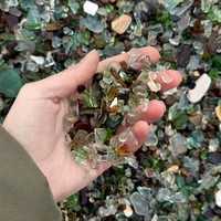 Фото отзыва 3: экскурсия "Владивосток и остров Русский за 1 день"