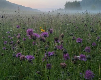Продолжение сплава и Старица