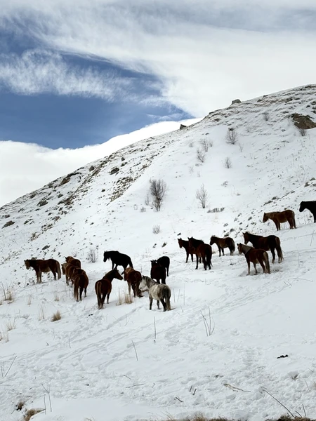 Огромная благодарность Батразу за шикарную экскурсию по Дигоре. Удивительное качество, когда гид не надоедает разговорами и
