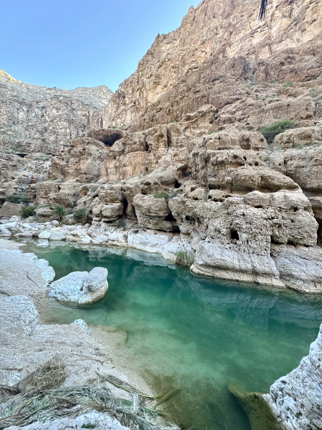 Спасибо огромное организаторам. Эмоции через край! Впечатлили захватывающие дух виды. Это яркое, динамичное и познавательное путешествие
