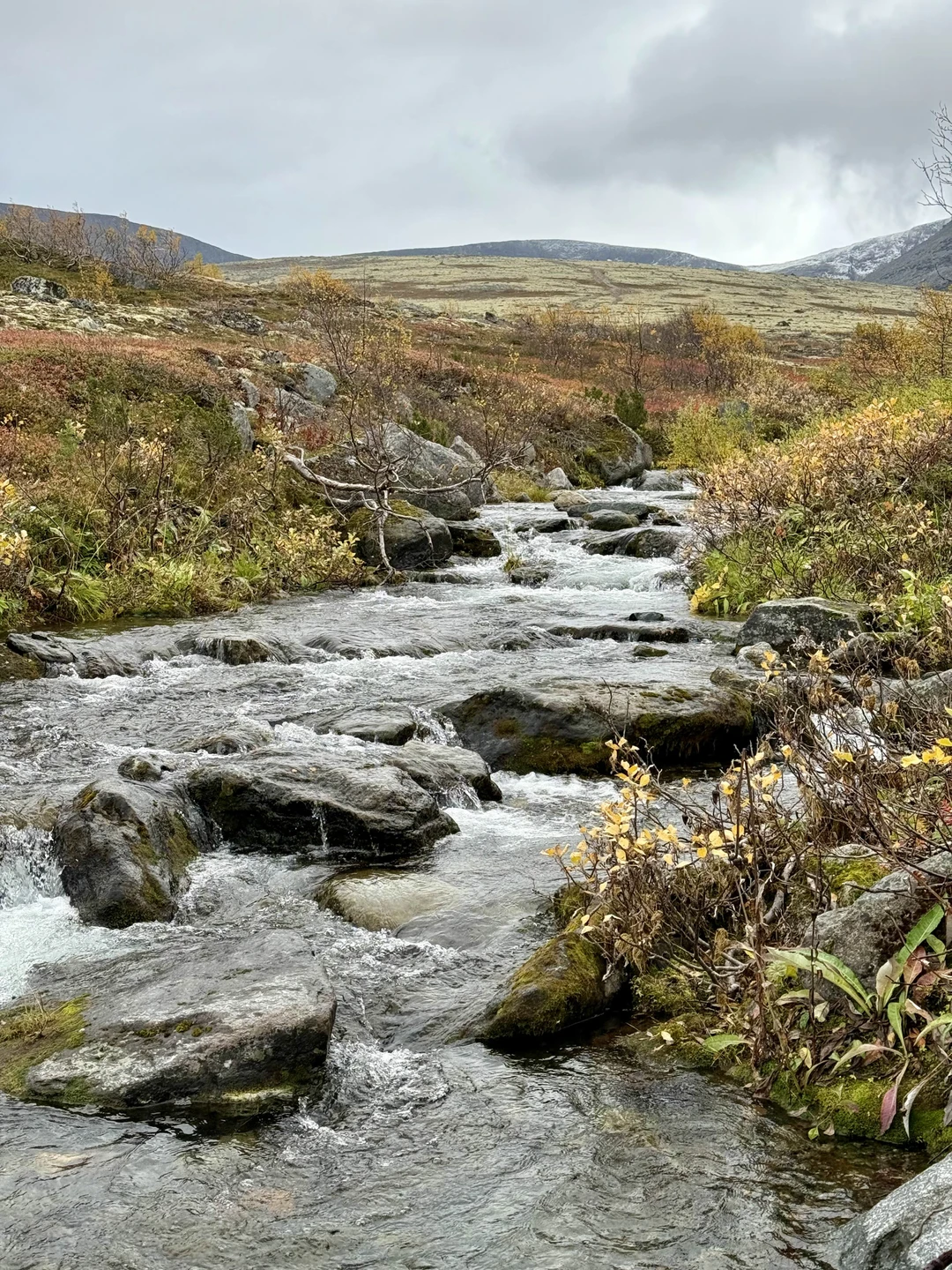 Это не экскурсия, а самый настоящий поход и целое приключение, которое надолго остаётся в памяти. За