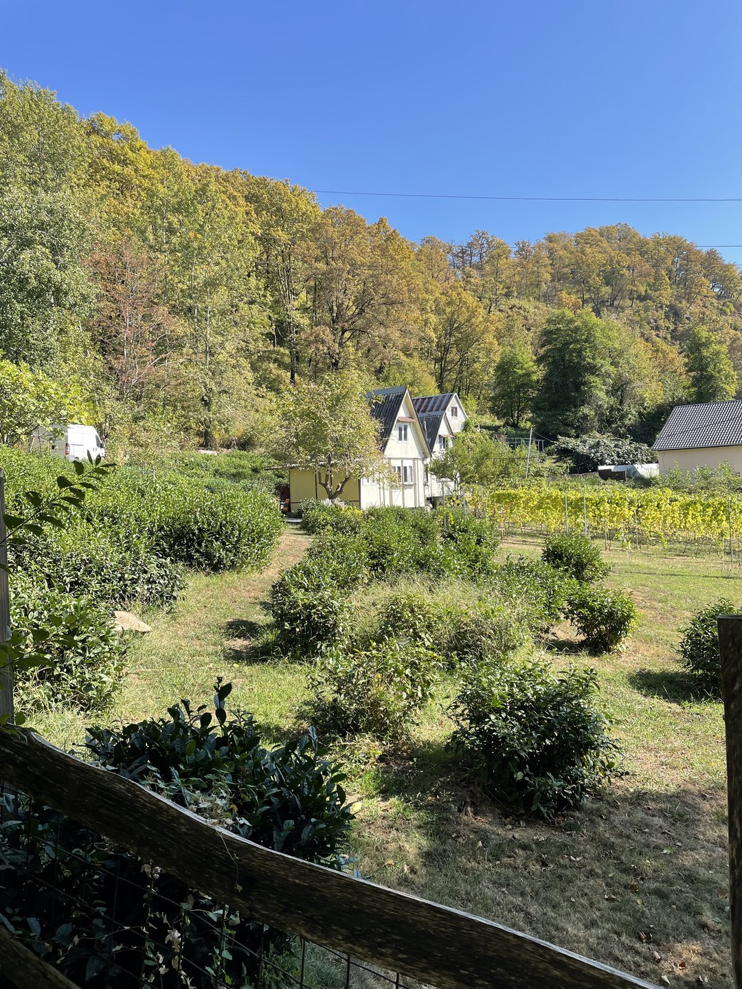 Это был потрясающий отдых, приехала с больным желудком… уехала со здоровым 👍 Мария очень вкусно готовила,