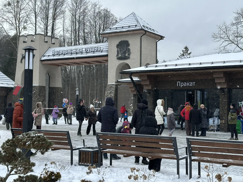 Трансфер из Бреста на экскурсию в Беловежскую пущу