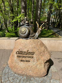 Спа-релакс, прогулки по Светлогорску