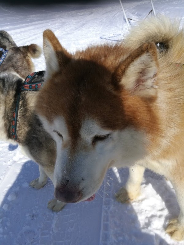 Путешествие в этническое стойбище Камчатки