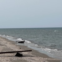 Фото отзыва 1: экскурсия "Каспийский берег и слияние заливов на краю Баку"
