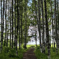 Фото отзыва 3: экскурсия "Первая встреча с Кировом"
