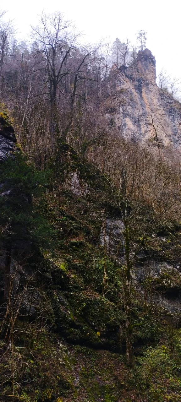 Очень понравилось! Ездили 15 ноября, боялись, что будет уже не так красиво как, например, весной или