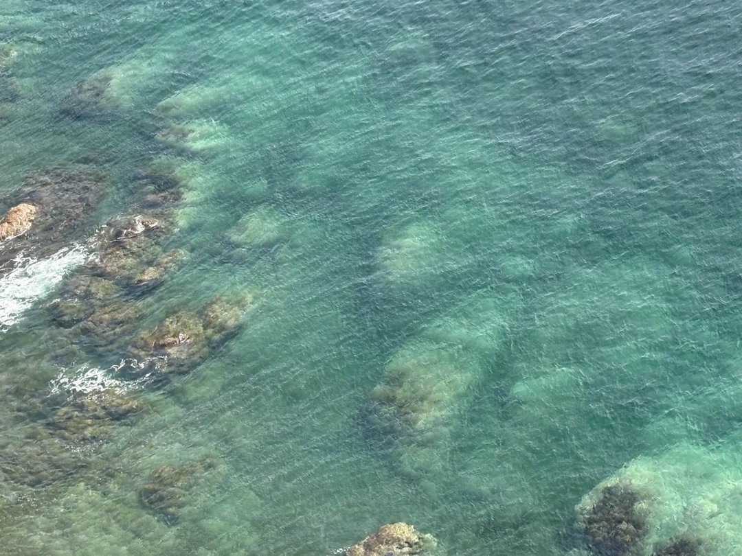 Морское приключение во Владивостоке: мыс Тобизина, котики и морепродукты (Татьяна)