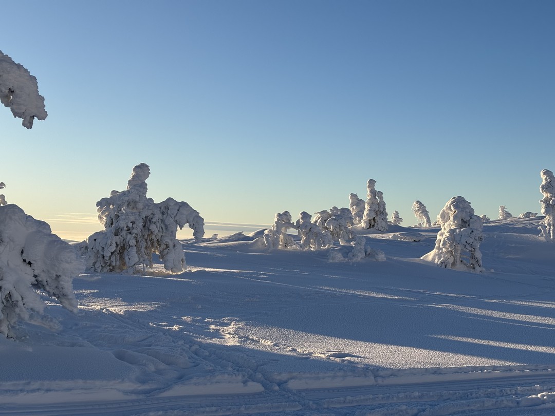 Если вы хотите погрузиться в настоящую зимнюю сказку и увидеть своими глазами красоту Русского Севера, вам