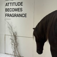 Фото отзыва 2: экскурсия "Сеул для любителей современного искусства и шопинга"