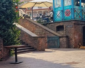 Кахетия, Сигнахи, Бодбе и дегустация вин