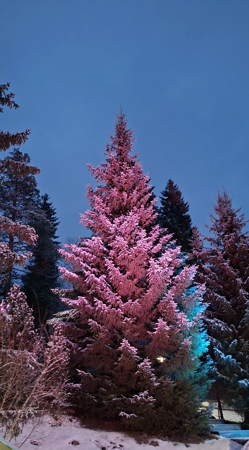 Экскурсия очень понравилась! Всё было отлично. Наш экскурсовод Михаил был на высоте. Глубокое знание материала. Грамотная